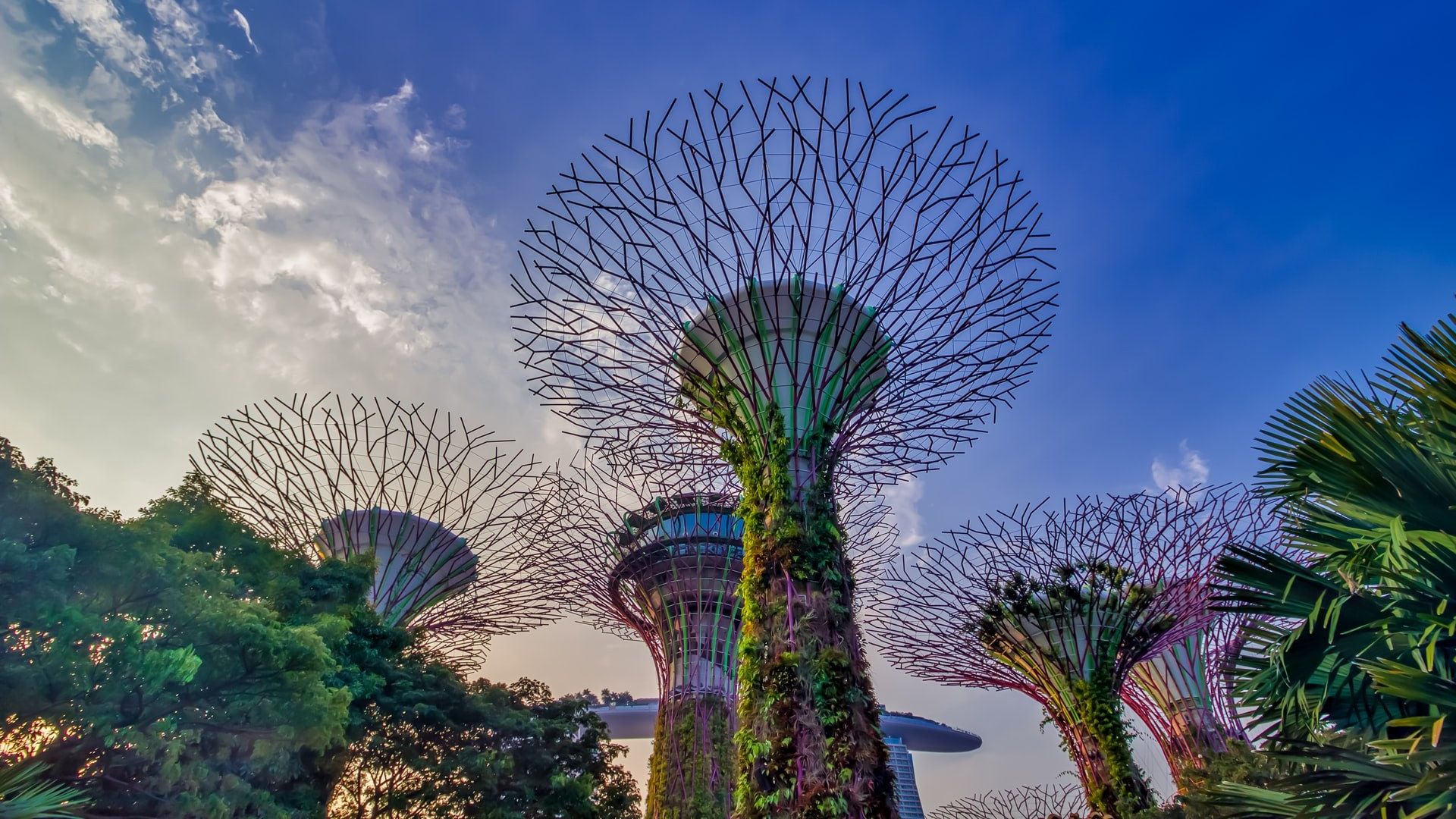 Bunte Pflanzen-Statuen am Flughafen von Singapur