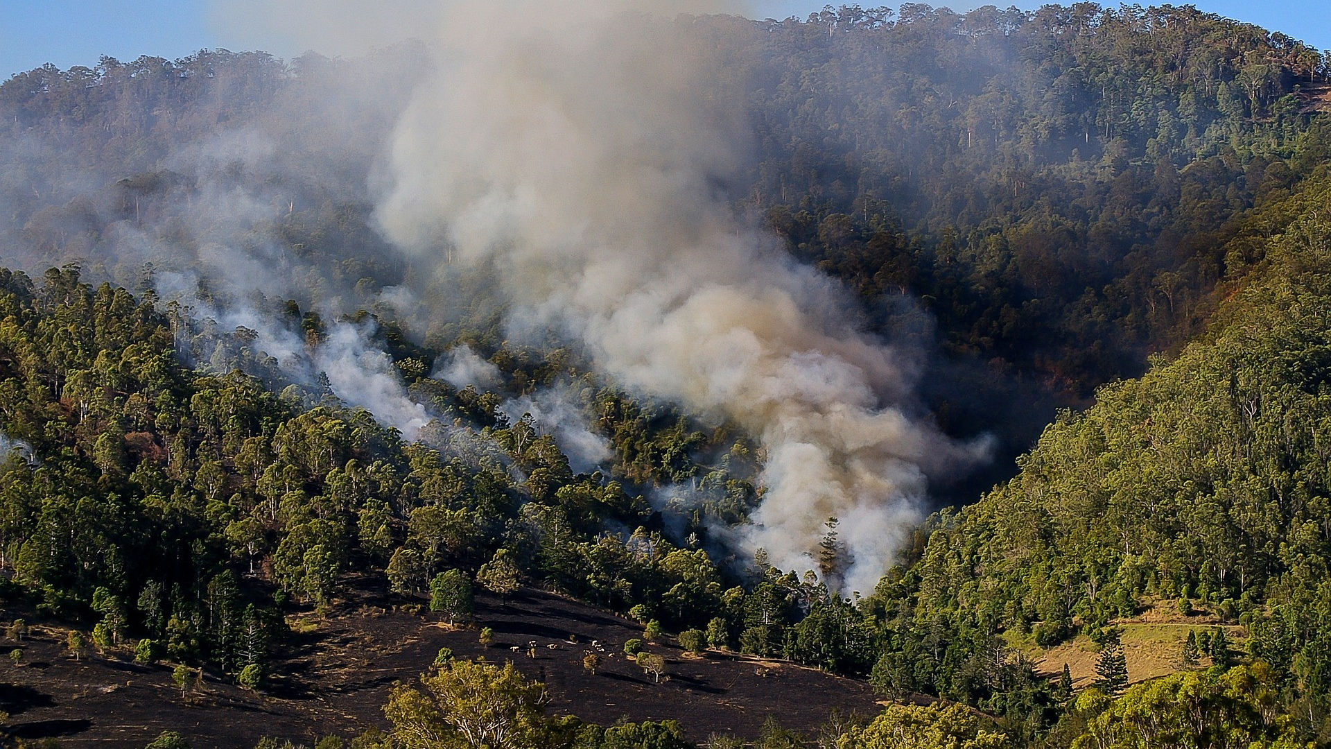 aus-smoke-busch-fire-hills.jpg