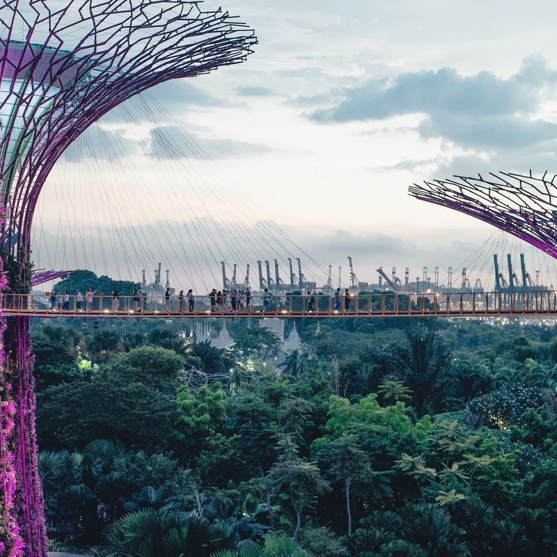 Singapur tussenstop Gardens by the Bay Skywalk