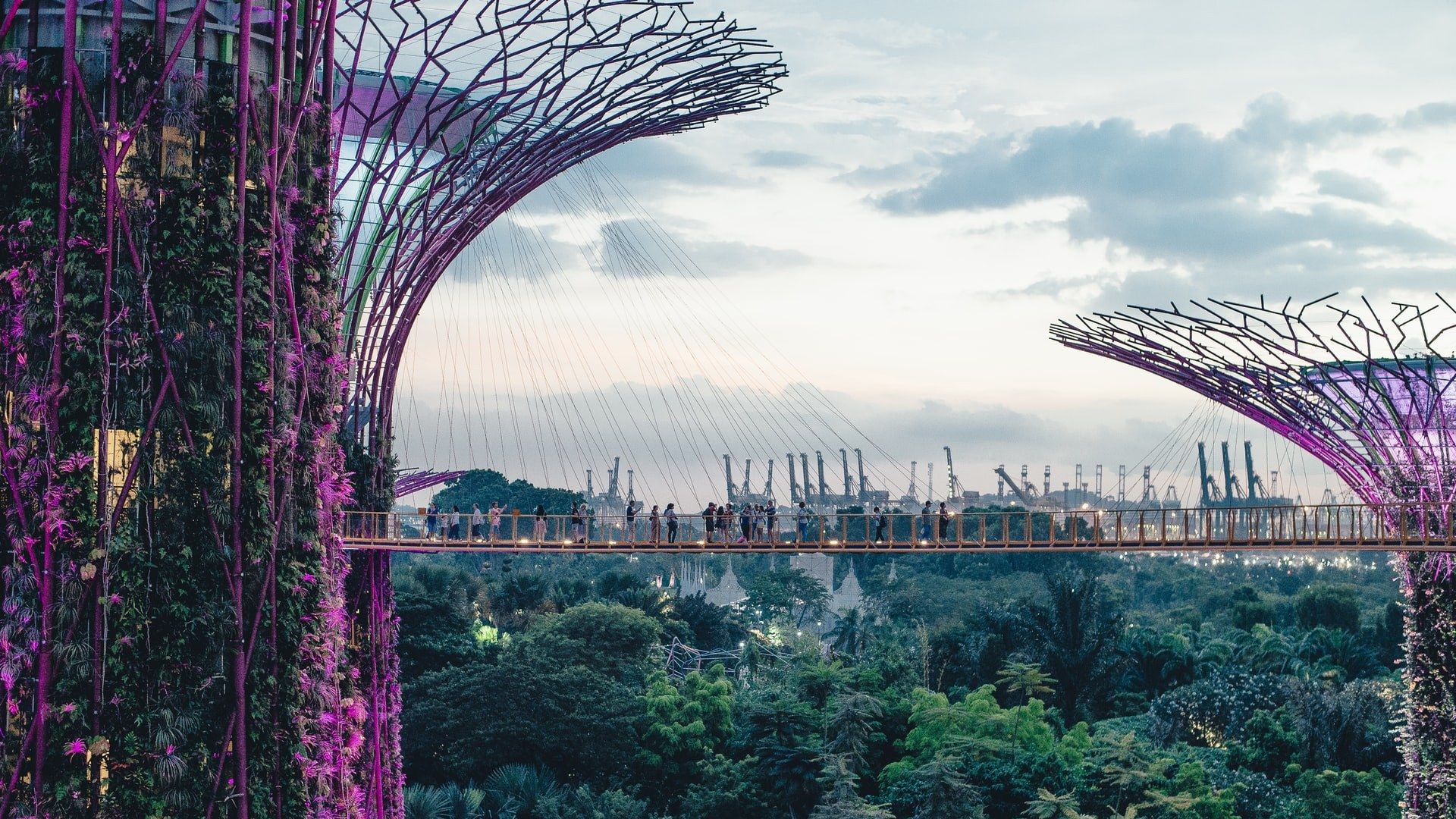 Singapur tussenstop Gardens by the Bay Skywalk