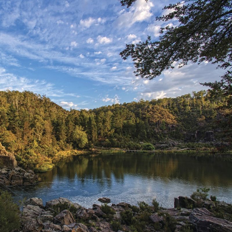 Uitzicht op het water en de bossen van Cataract Gorge in Tasmanië, dicht bij Launceston