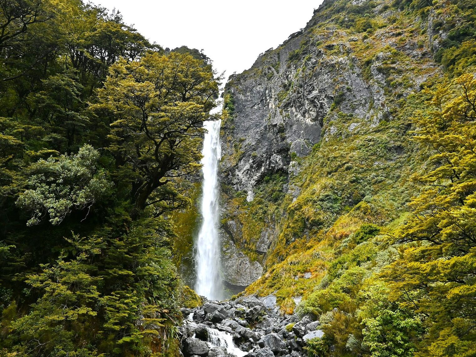Schmaler Wasserfall umgeben von Bäumen und Moos im Arthurs Pass nationalpark