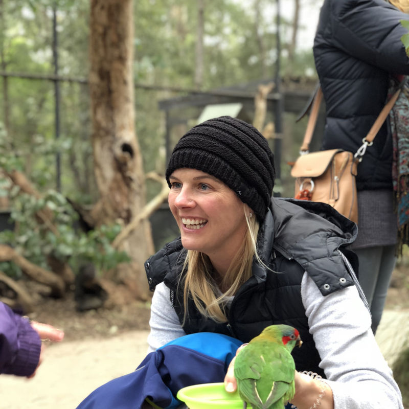 Australien Veronika tropischer Vogel Papagei