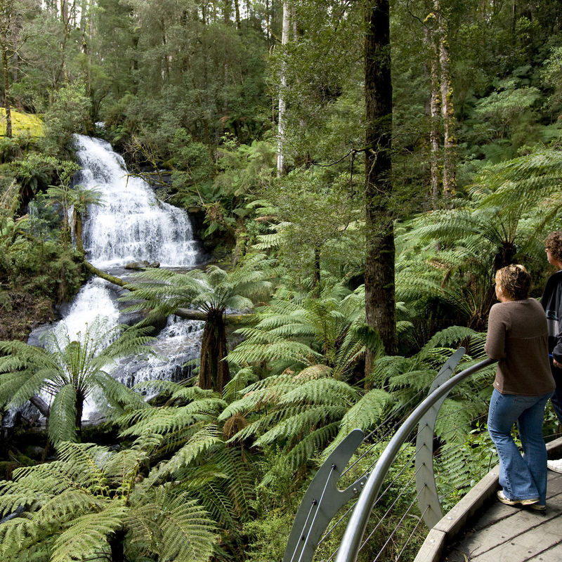Australien Victoria Great Otway National Park Wasserfall