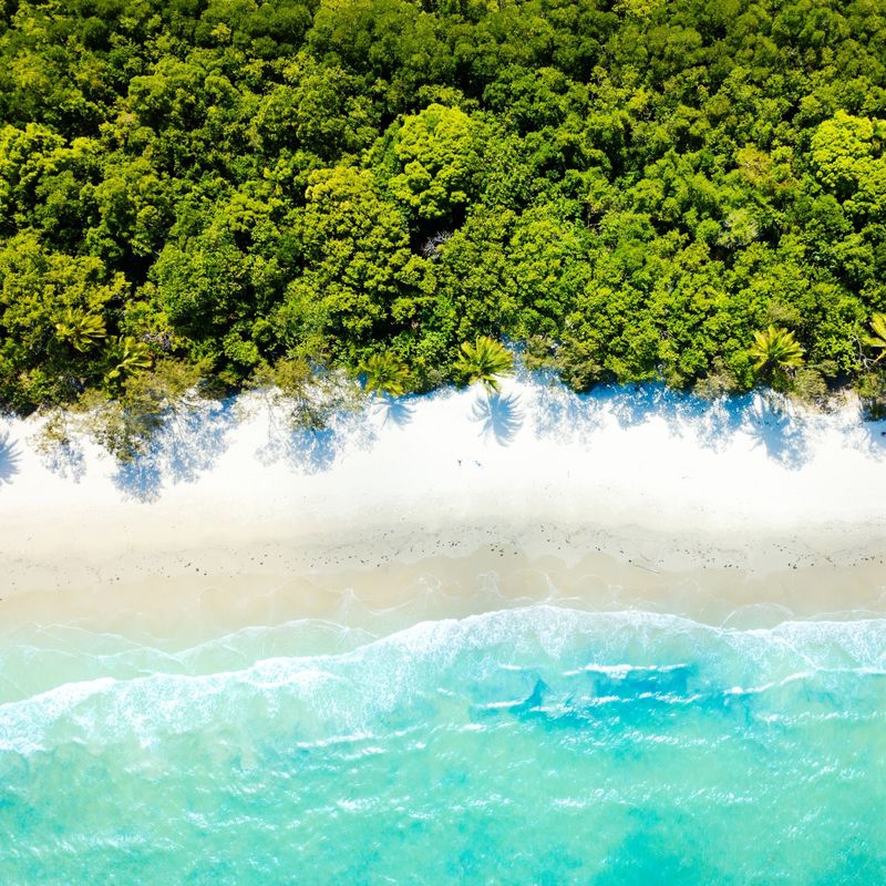 Cape Tribulation aerial