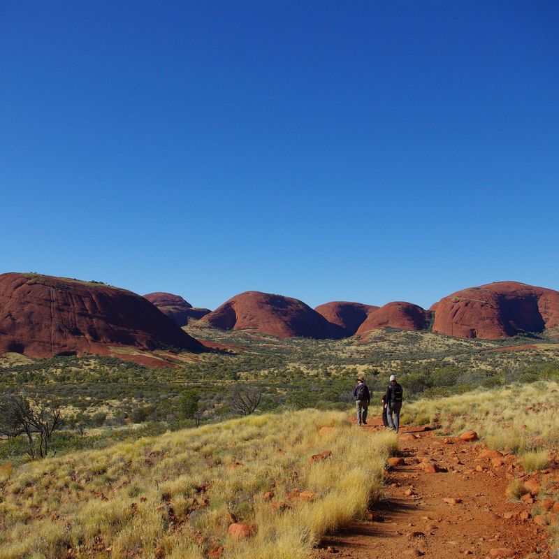 Olgas NP Kings canyon