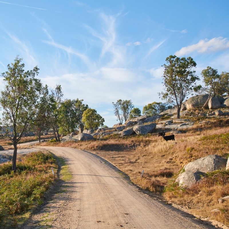 Travel Essence NSW Tenterfield Cottage Kevin 29 1