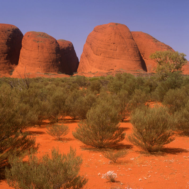 Australien The Olgas Kata Tjuta
