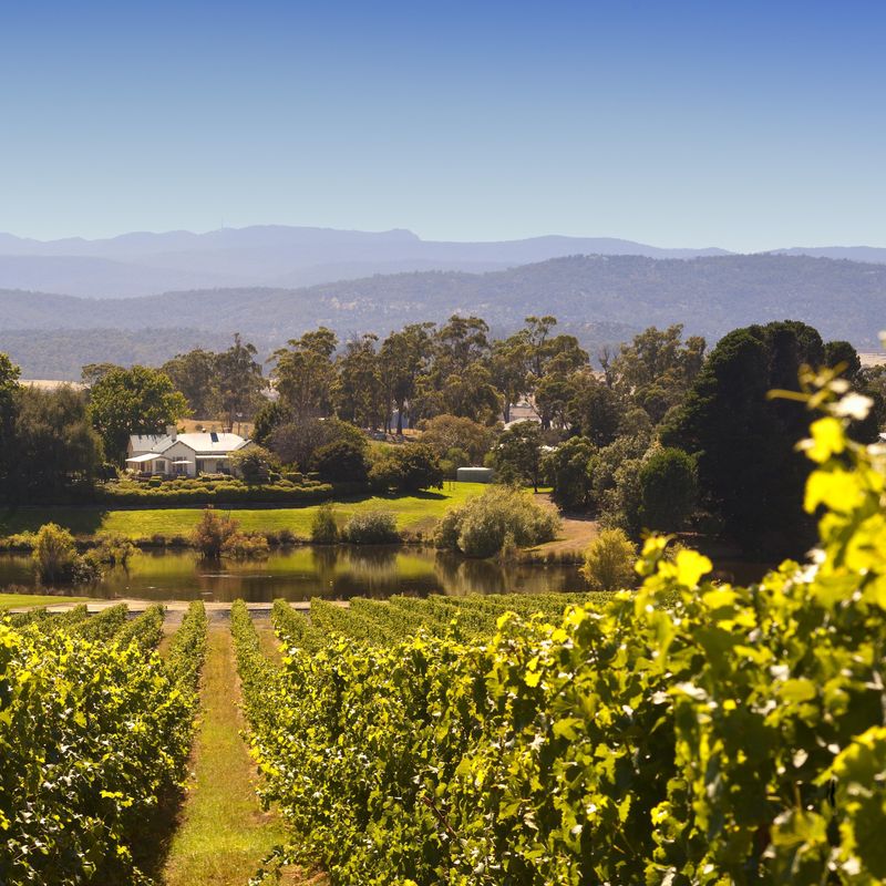 Aus tamar valley wine example trip 2