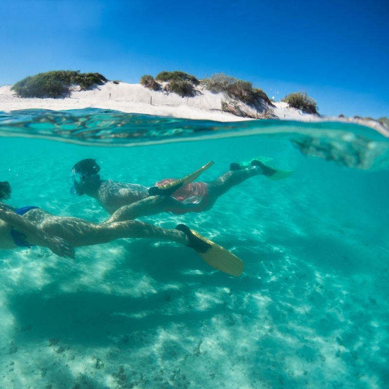 Exmouth snorkelling 1