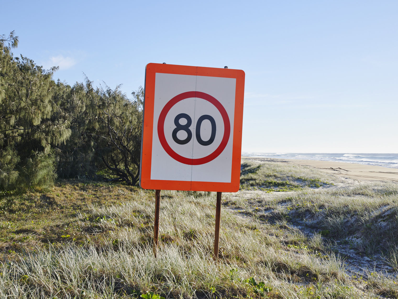 Verkeersbord met maximumsnelheid 80 km/u bij duinen en zee