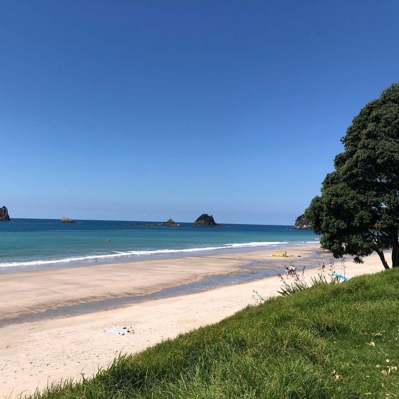 Neuseeland travelessence coromandel strand