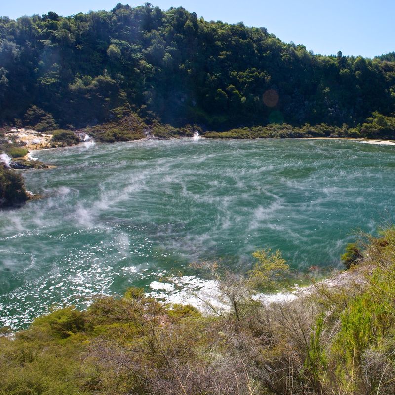 Nz rotorua geothermal activity