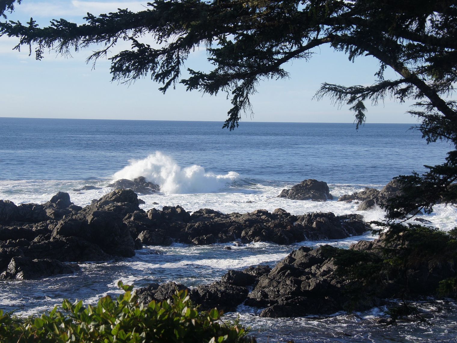 Ucluelet 770088 1920