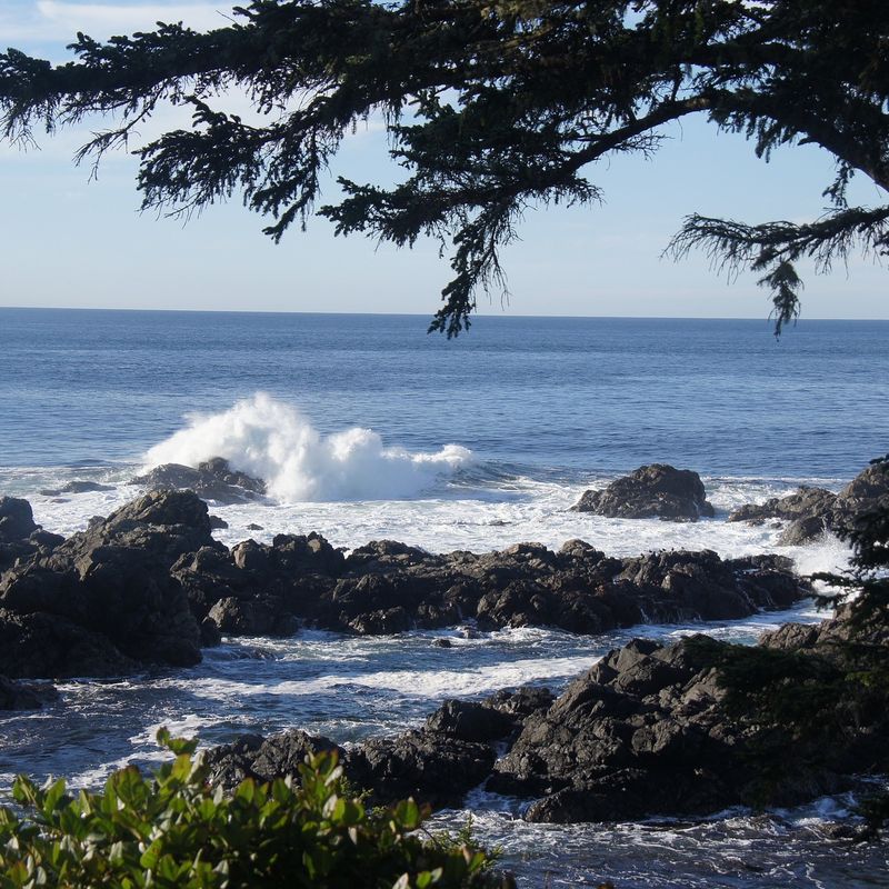 Ucluelet 770088 1920