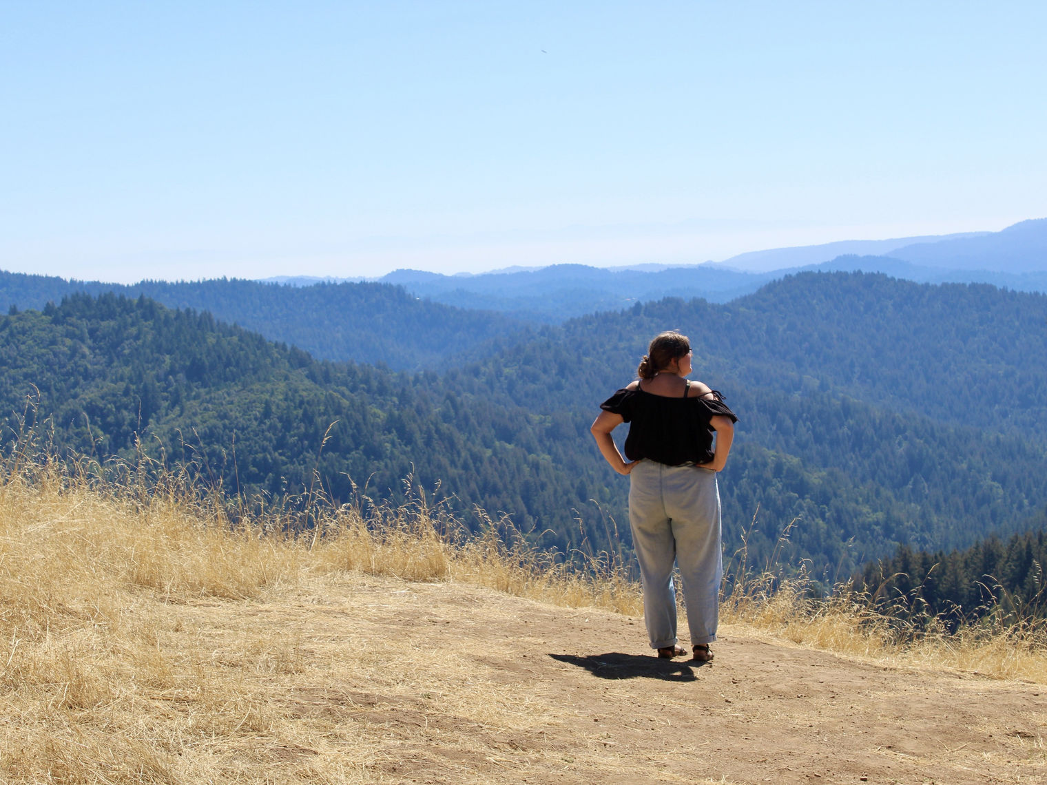 A woman looking over at the view of redwoods park