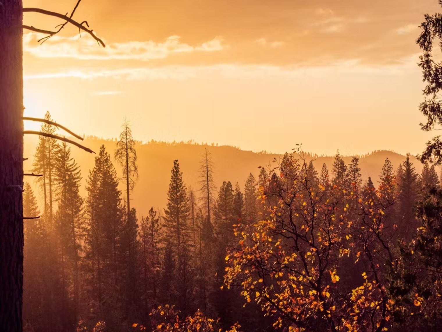 Usa california yosemite national park scenery 1