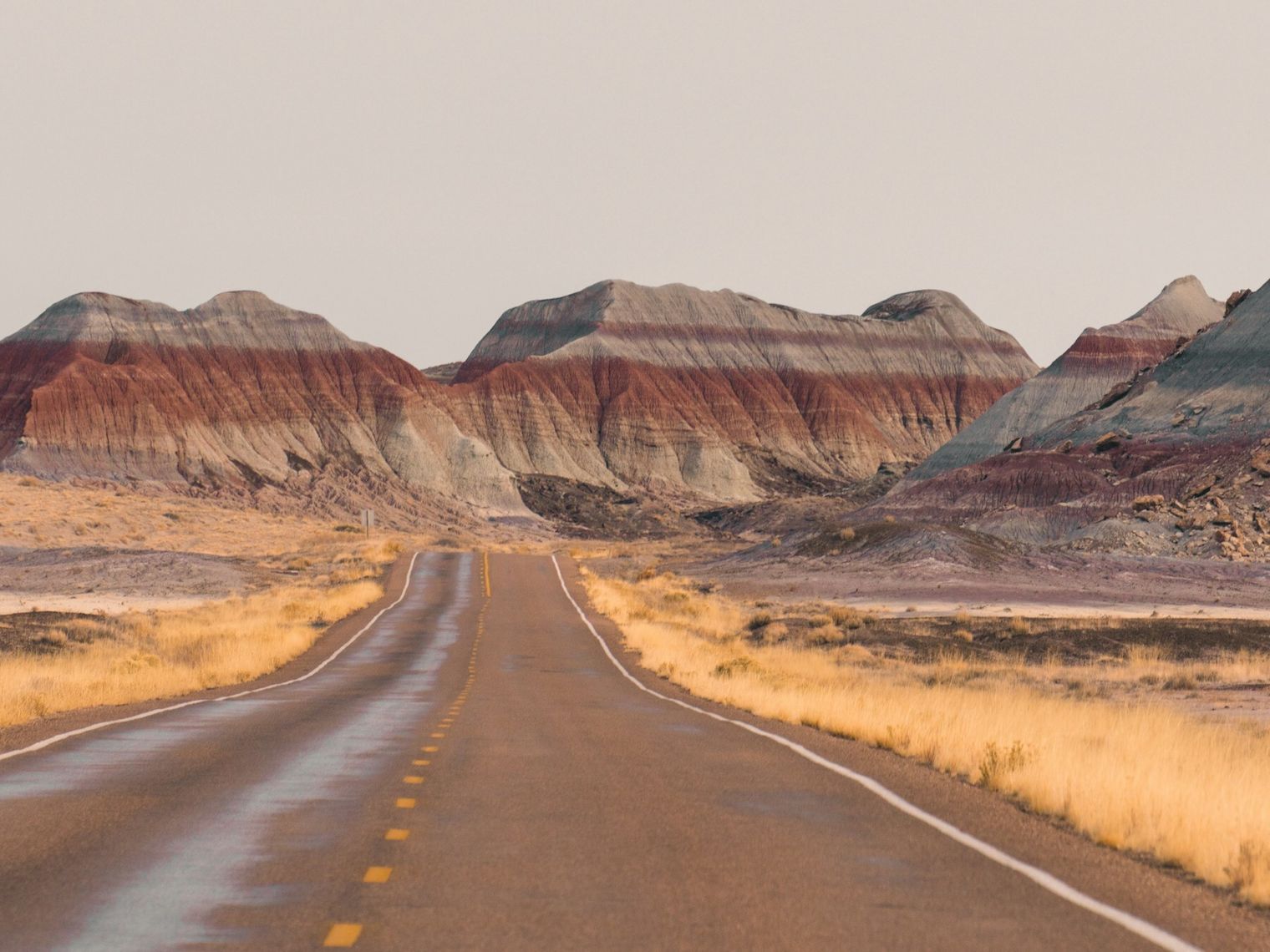 Usa petrified forest national park