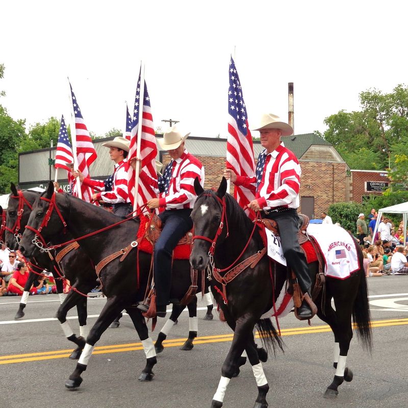 USA Parade Pferde