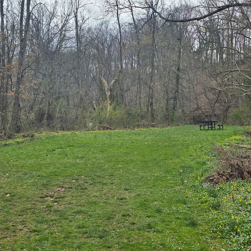 Twin Streams Park in Chalfont - Photo 3