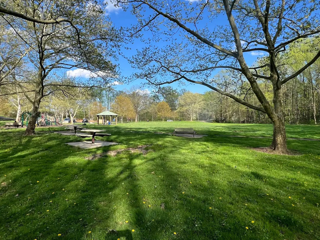 Forsythia Crossing Park in Levittown - Photo 2
