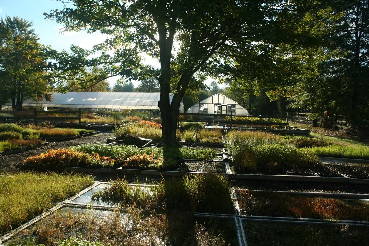 Aquascapes Unlimited Inc in Pipersville - Photo 2