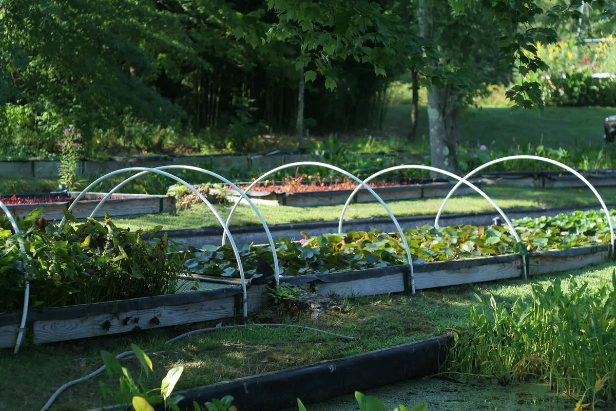 Aquascapes Unlimited Inc in Pipersville - Photo 4