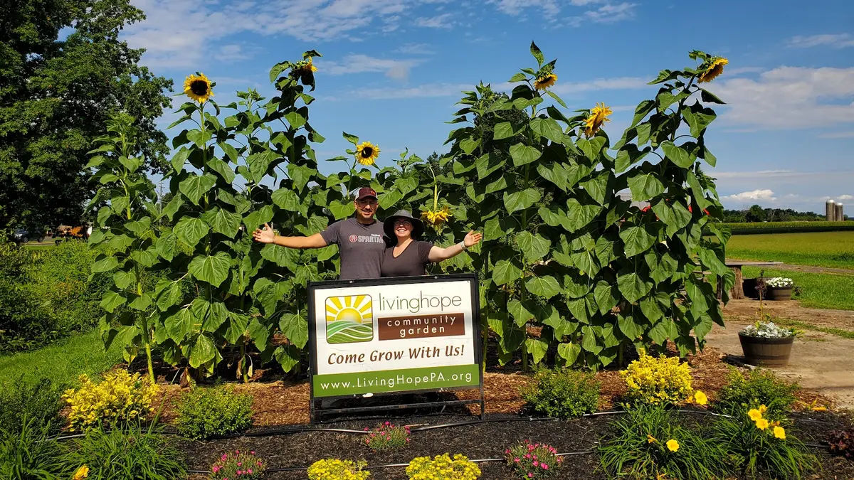 LHCC Farm Property and Community Garden in Dublin - Photo 3