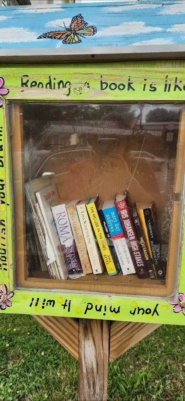 Little Free Library Lyceum Hall in Burlington - Photo 2