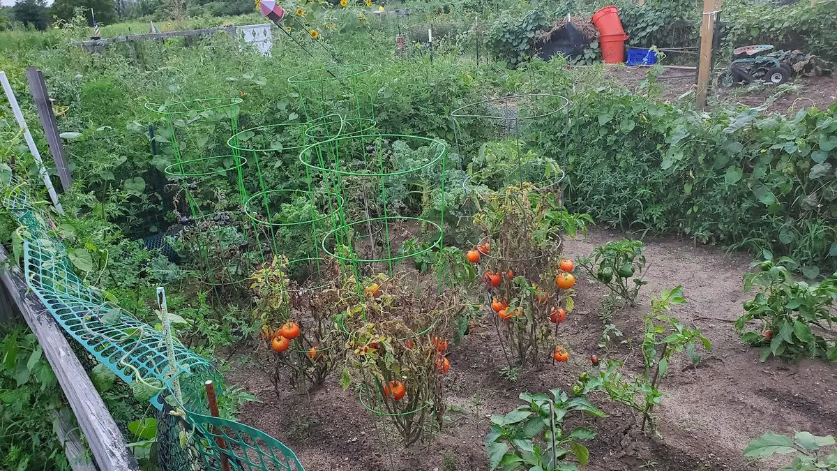 Pennington Park Community Garden in Delanco - Photo 2