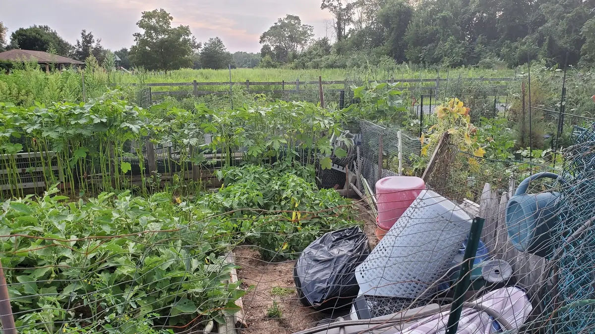 Pennington Park Community Garden in Delanco - Photo 4
