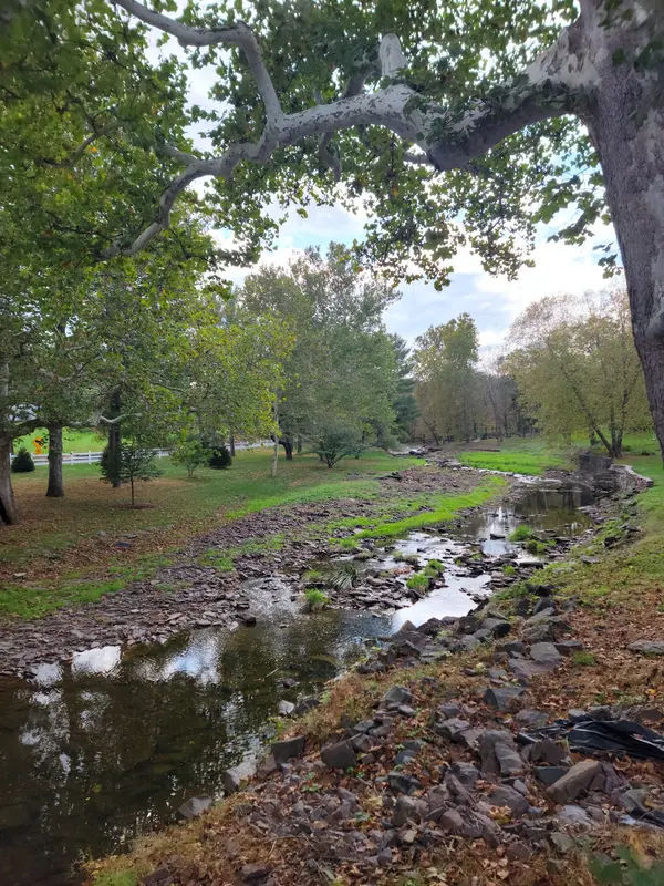 Loux Covered Bridge in Pipersville - Photo 1