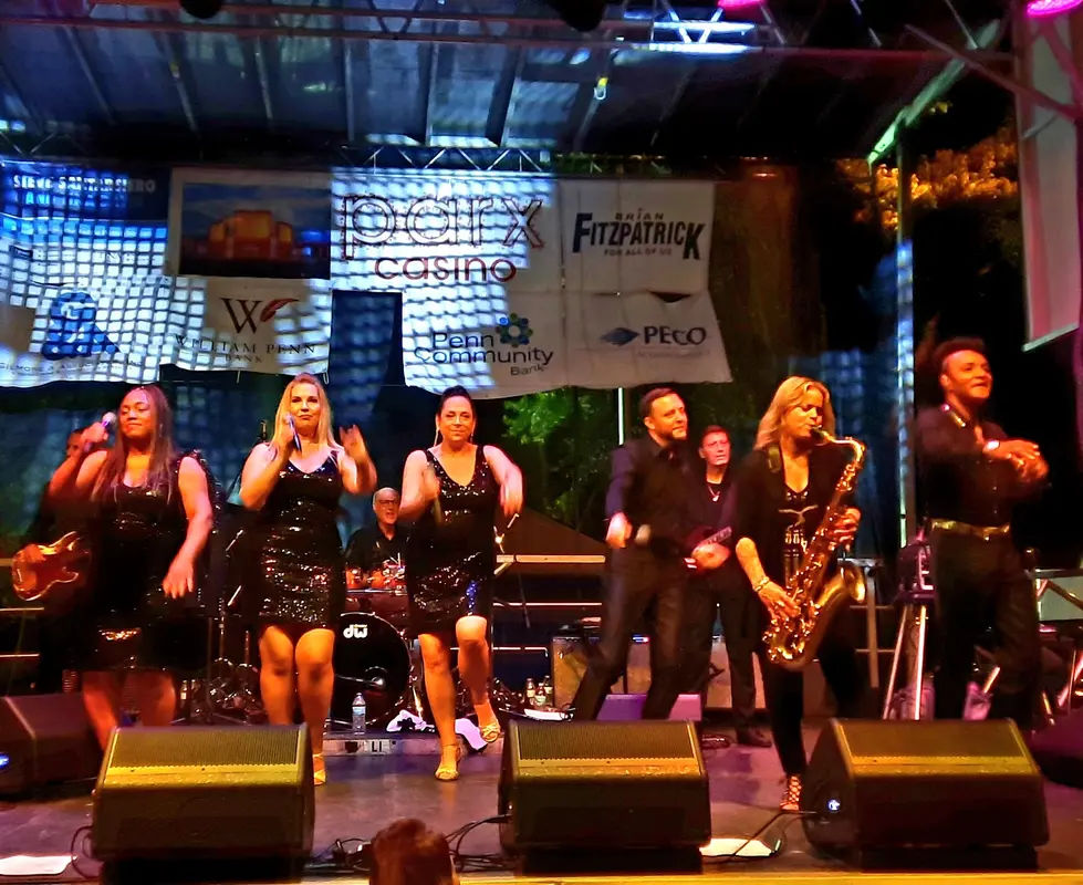 Lions Park Gazebo in Bristol - Photo 4