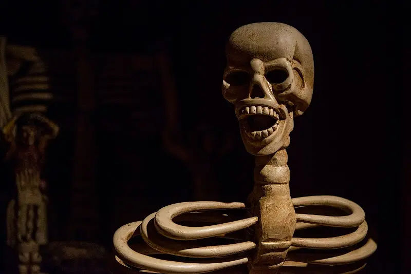 VAMPA Vampire & Paranormal Museum