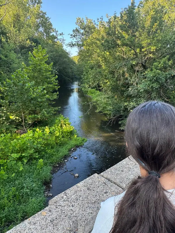 Blue Jay Park in Chalfont - Photo 2