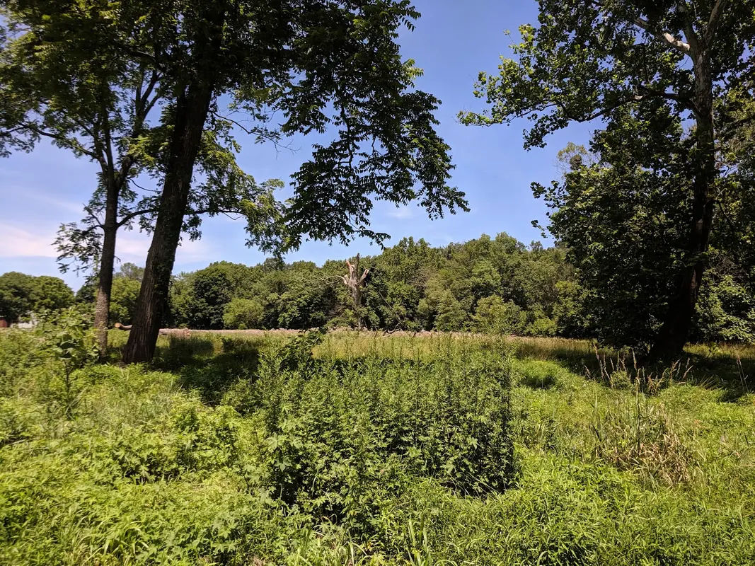 Blue Jay Park in Chalfont - Photo 4