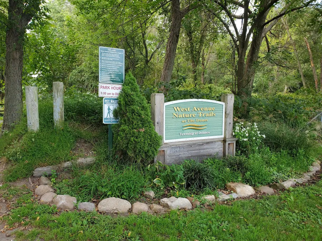 West Avenue Nature Trails in Delanco - Photo 4