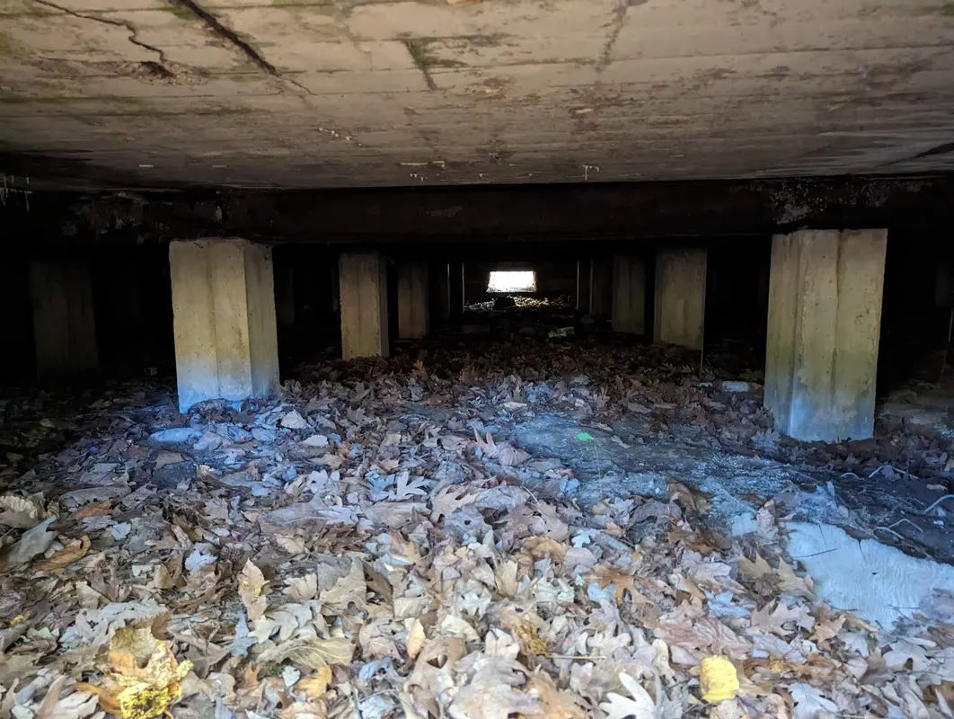 Delhaas Woods in Bristol - Photo 3