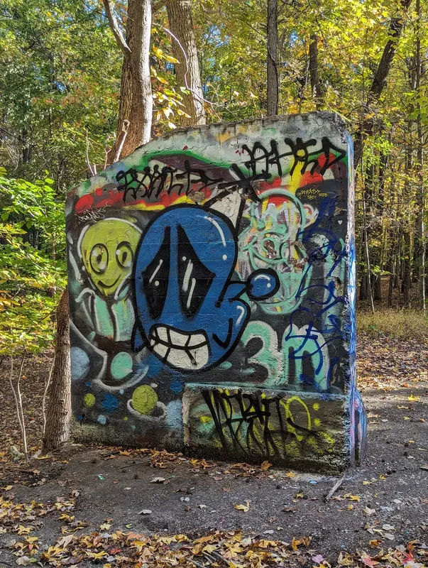 Delhaas Woods in Bristol - Photo 4