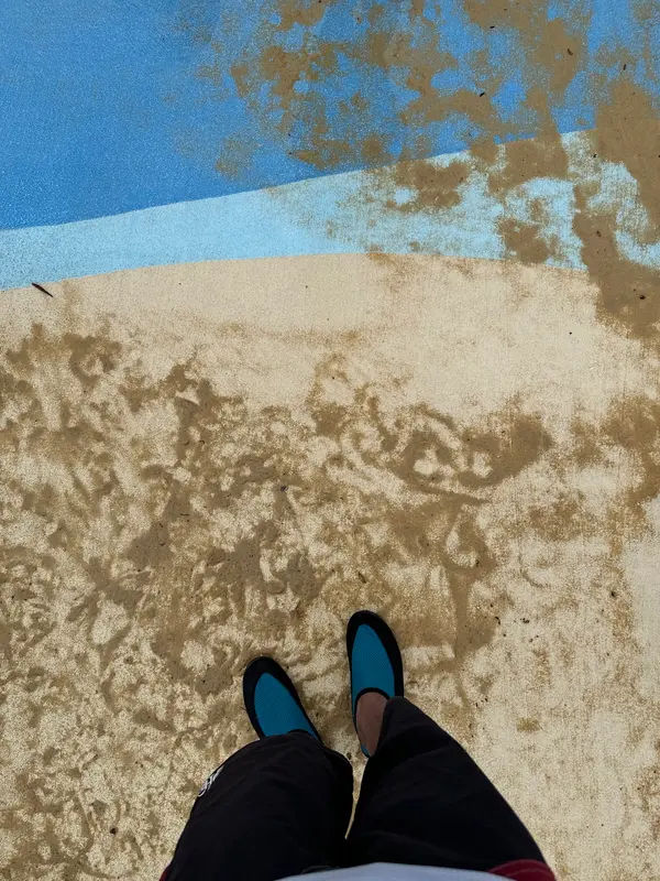 Bert & Ernie's Splashy Shores in Langhorne - Photo 4