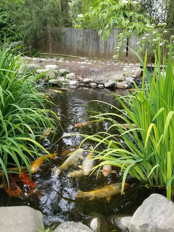 Alou Tot Lot in Warrington - Photo 2