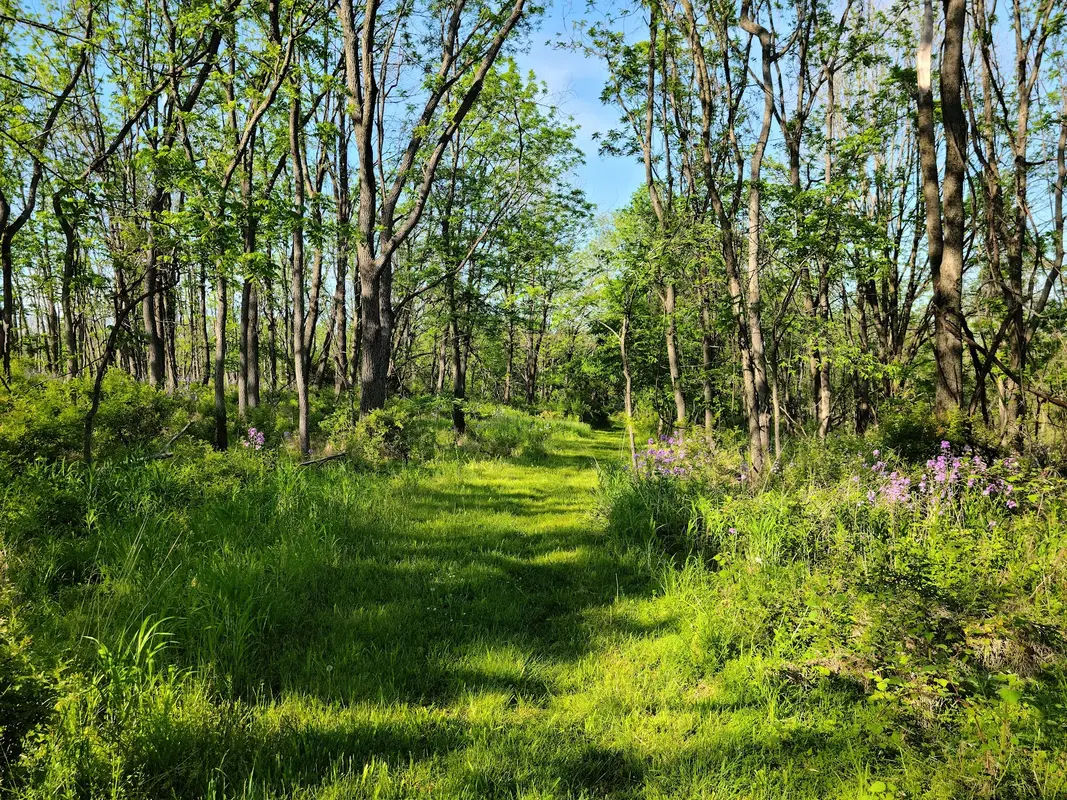 Peace Valley Nature Center in Doylestown - Photo 3