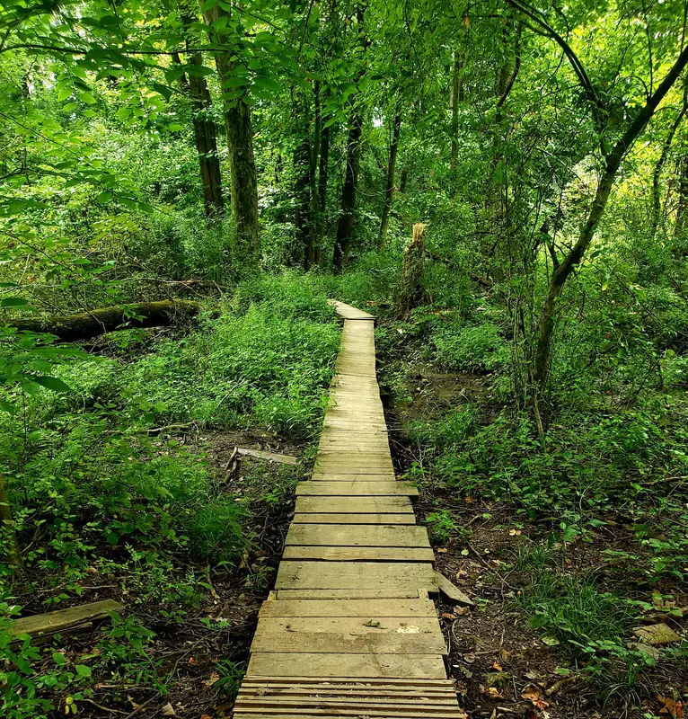 Core Creek Park in Langhorne - Photo 4