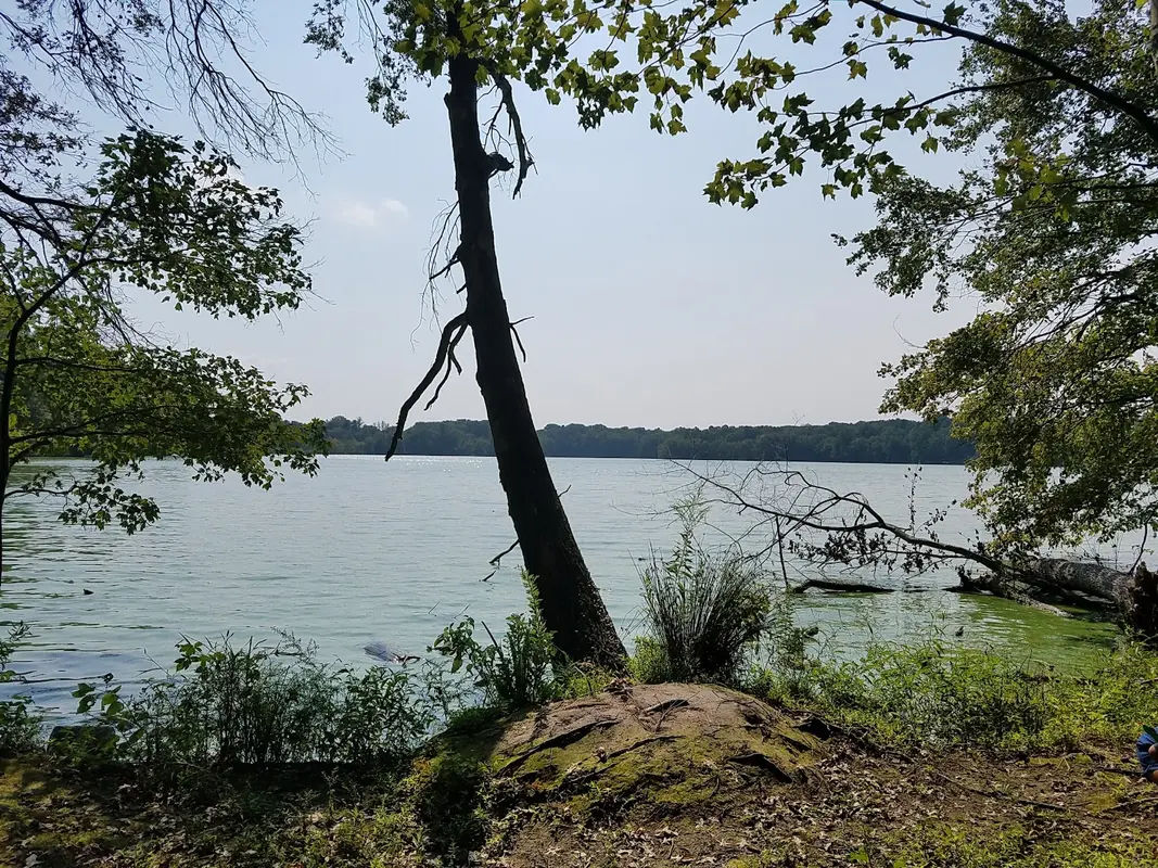 Churchville Nature Center in Churchville - Photo 2