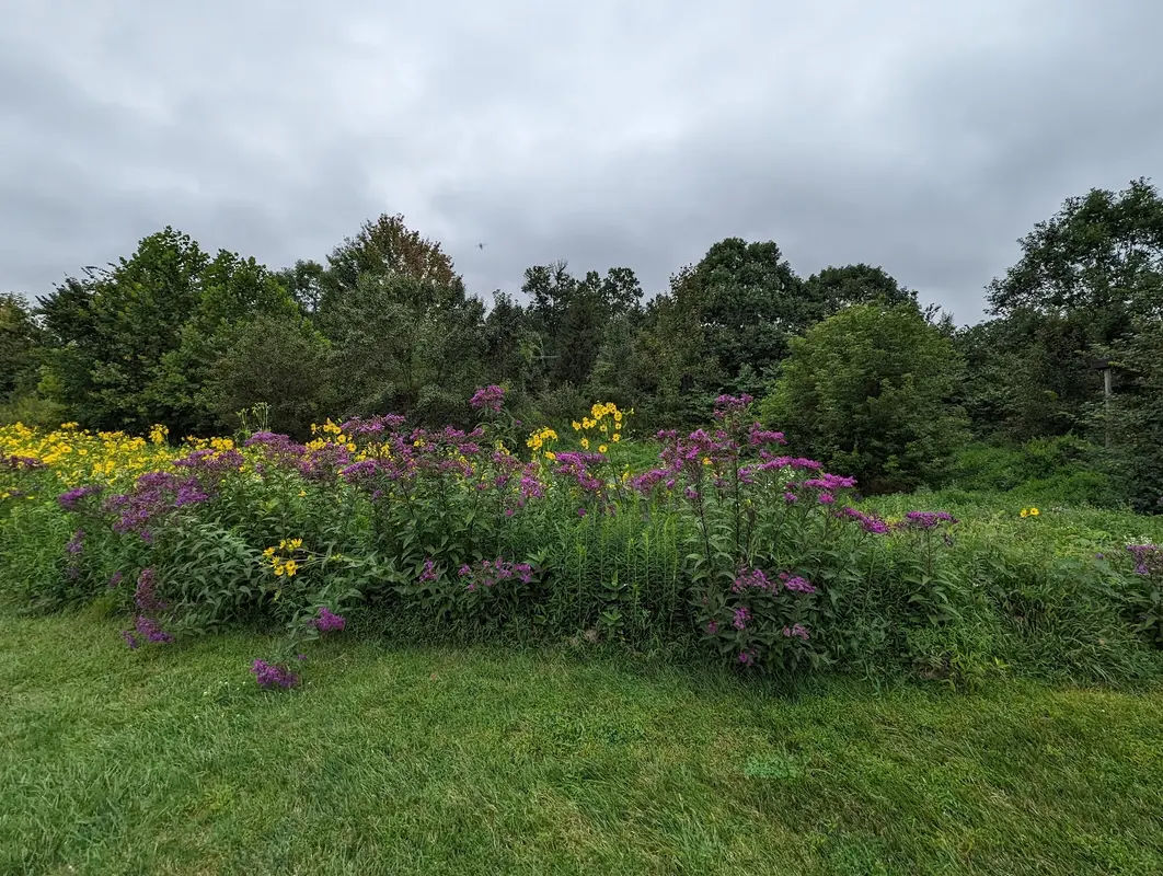 George M. Bush Park in Doylestown - Photo 3