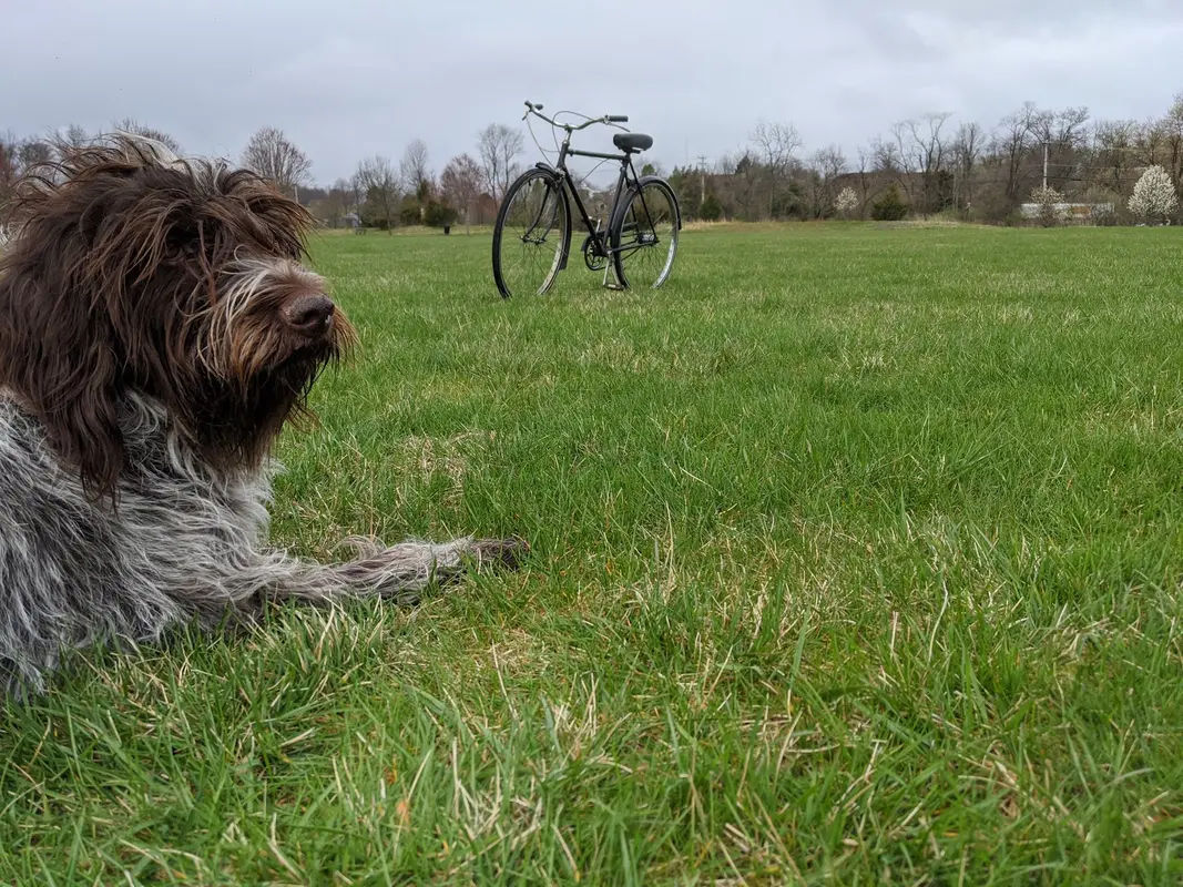 George M. Bush Park in Doylestown - Photo 4