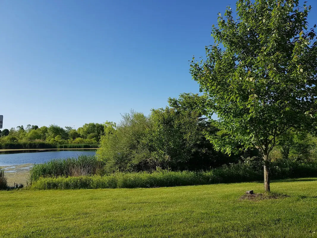 Warminster Community Park in Warminster - Photo 4