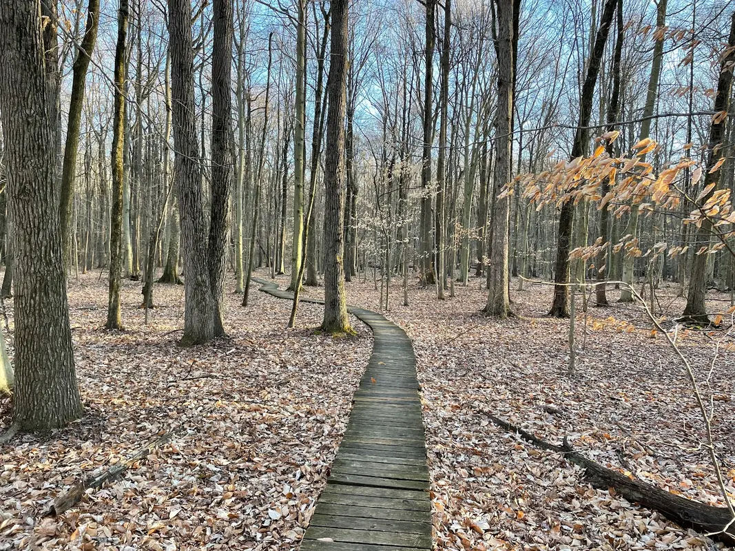 Five Mile Woods in Morrisville - Photo 1