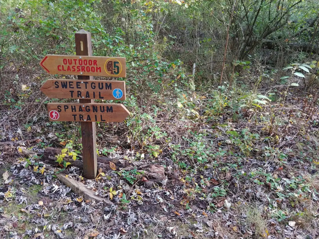 Five Mile Woods in Morrisville - Photo 2