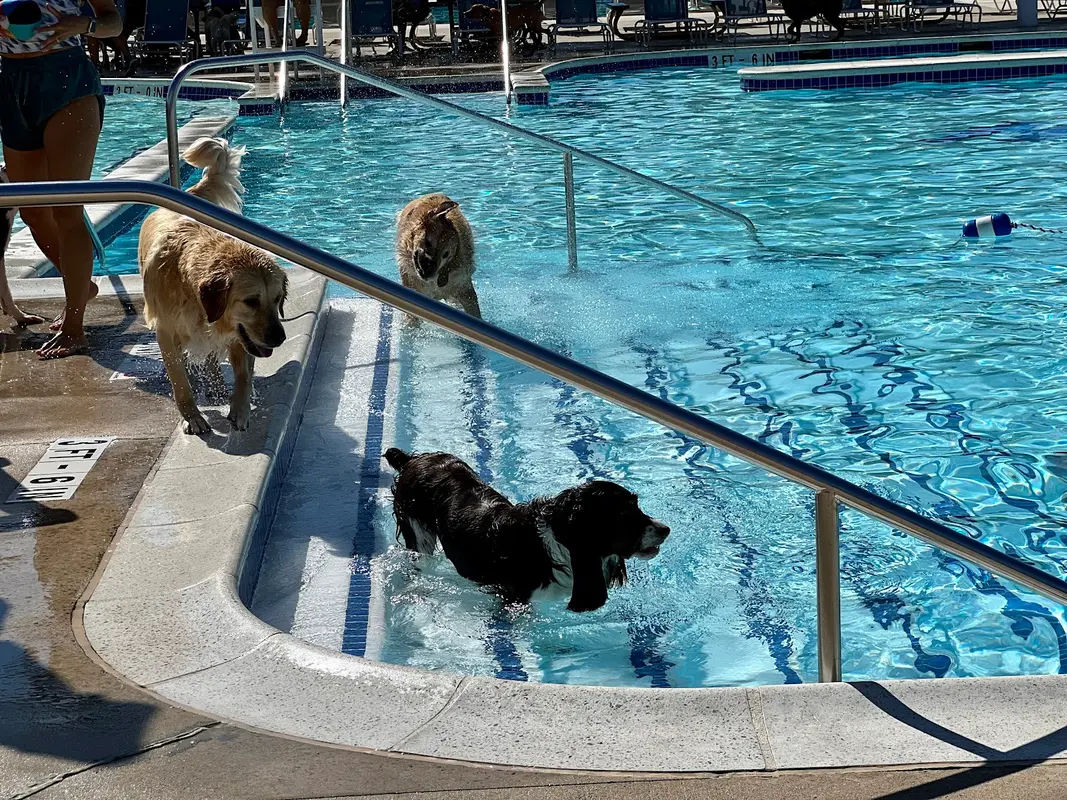 Hatfield Community Park in Hatfield - Photo 3